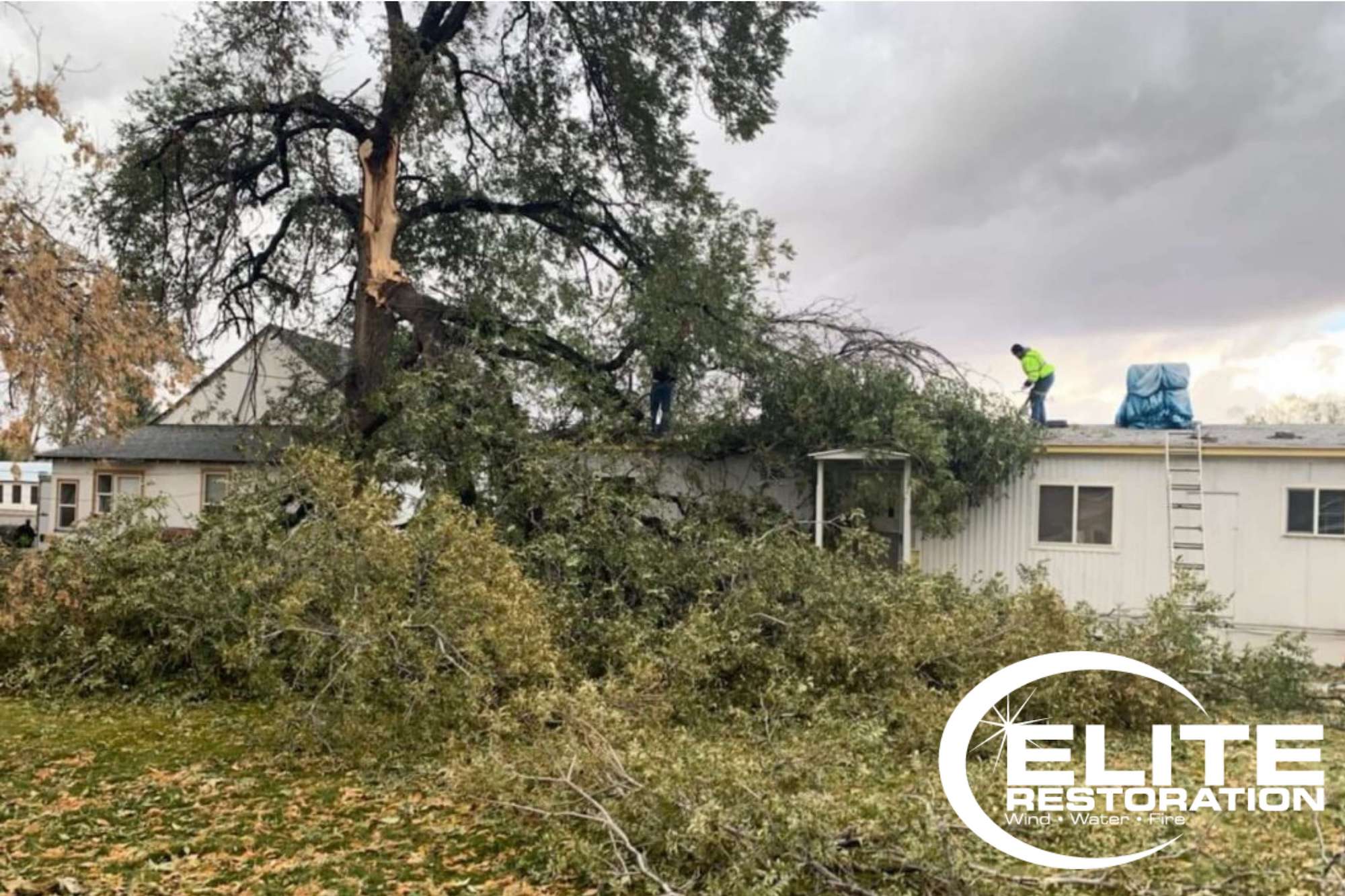 large-tree-fallen-onto-residential-home