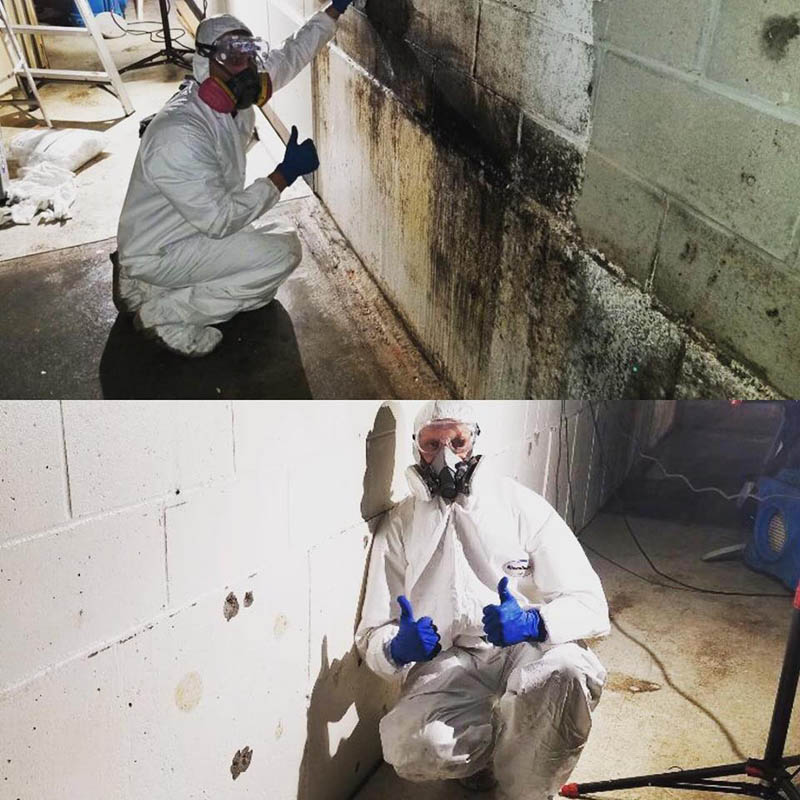 restoration expert performing mold remediation