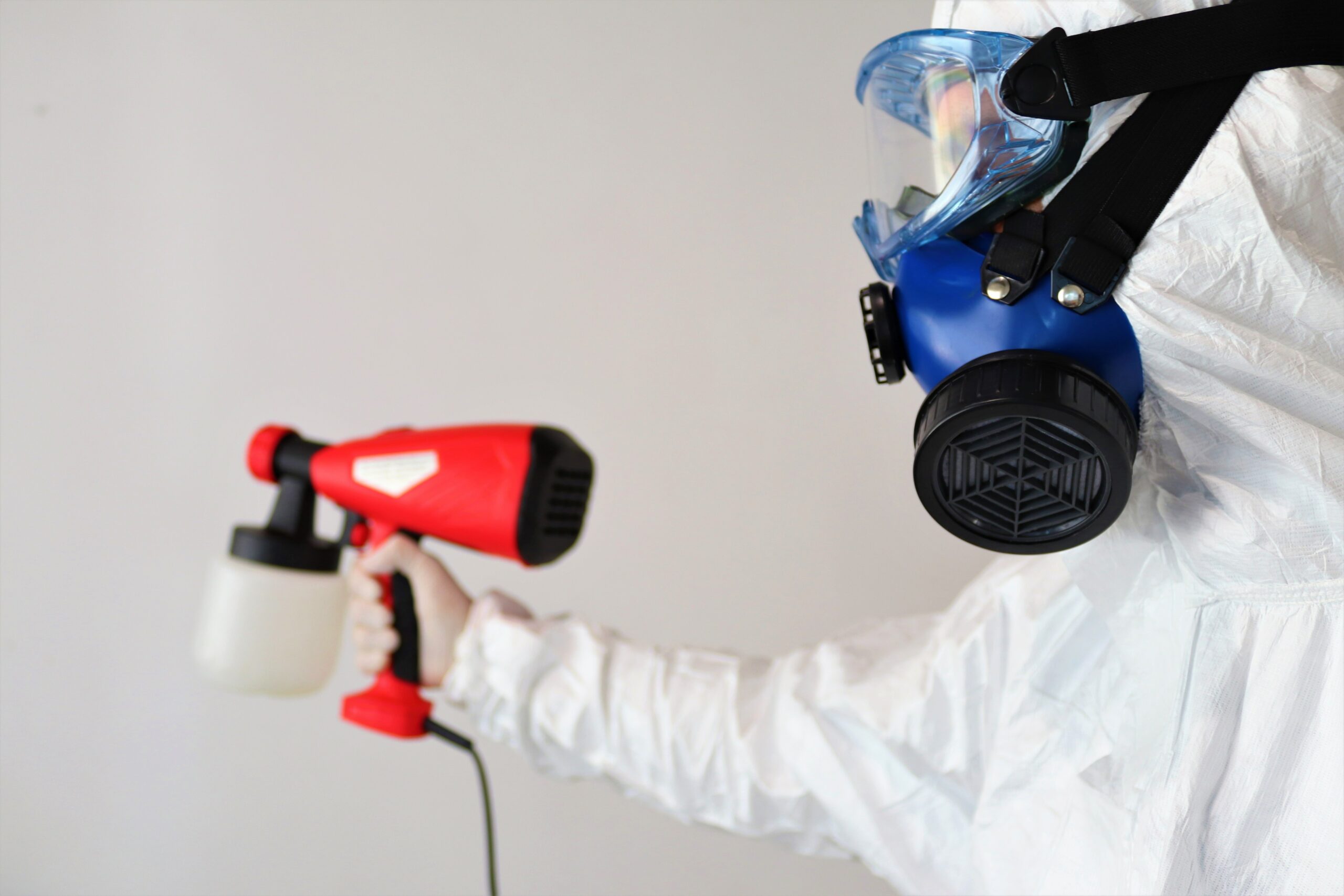 Featured image for “Mold Removal in Twin Falls, ID”